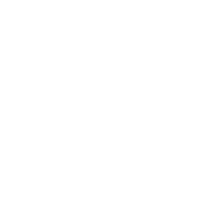 GT Race