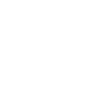 ae-clients-renault | About us