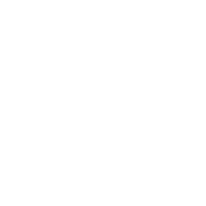 ae-clients-renault
